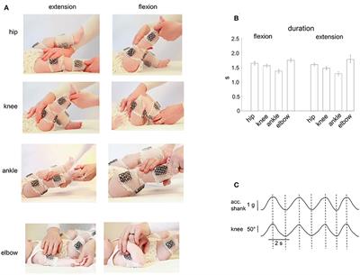 Muscle Responses to Passive Joint Movements in Infants During the First Year of Life